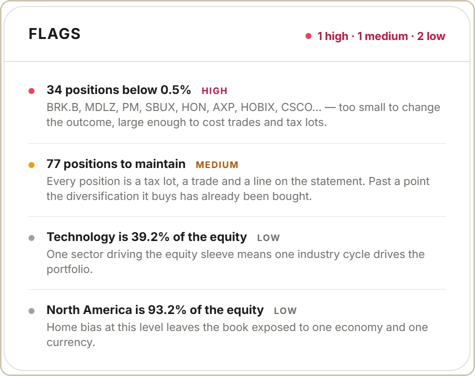 List of portfolio flags found in the pre-analysis.